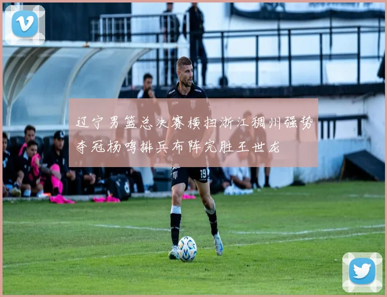 辽宁男篮总决赛横扫浙江稠州强势夺冠杨鸣排兵布阵完胜王世龙