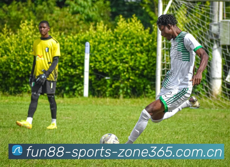 乐天堂app官方客户端服务体系
